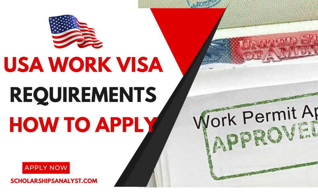 USA Work Visa